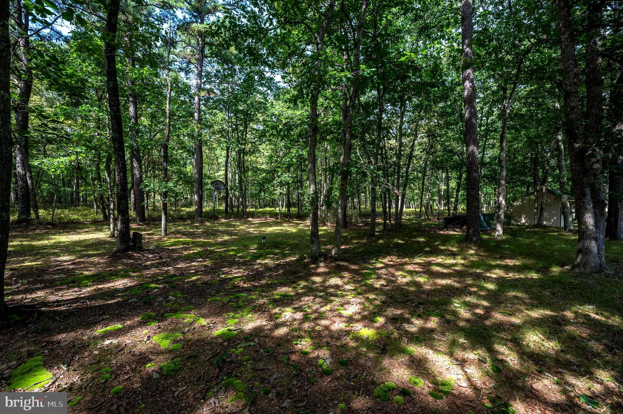 29 Burrs Mill Road Southampton, NJ 08088 - Photo 24 of 24