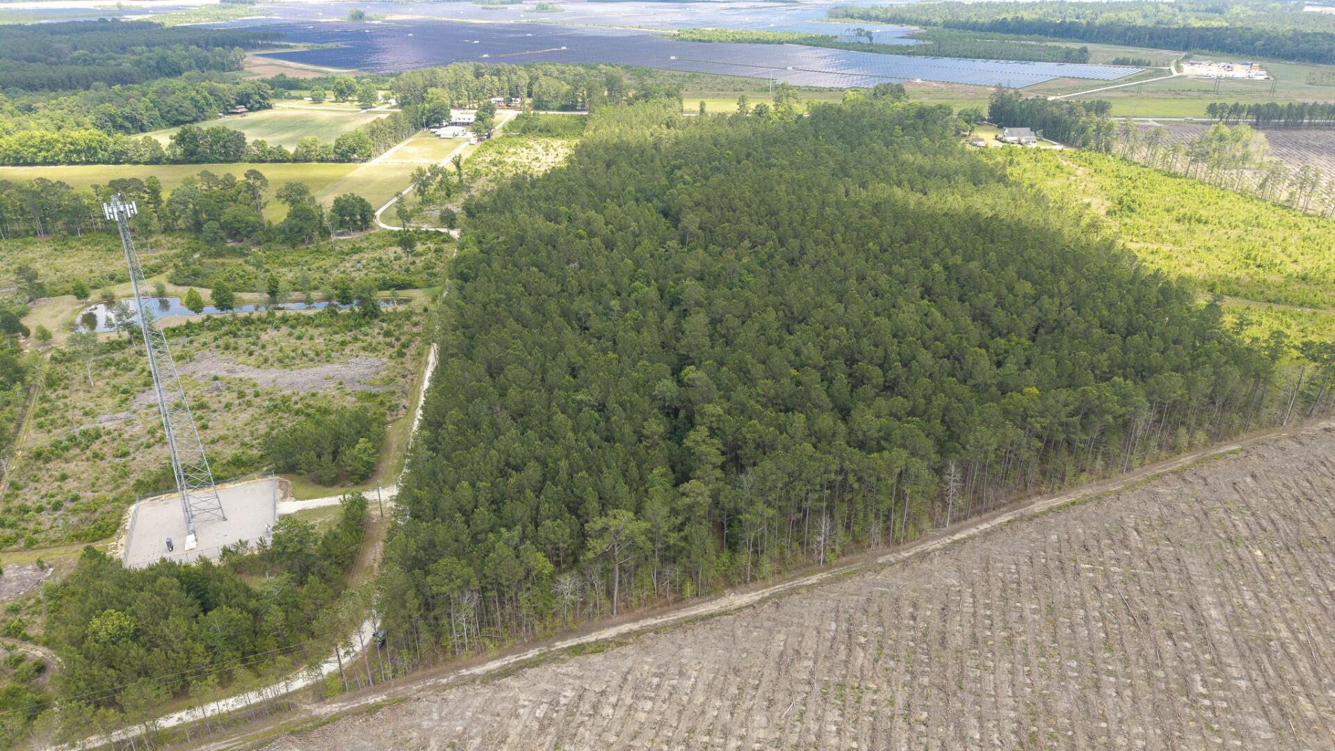 6222 Saints Delight Road, Unit LOT 8 Georgetown, SC 29440 - Photo 14 of 26