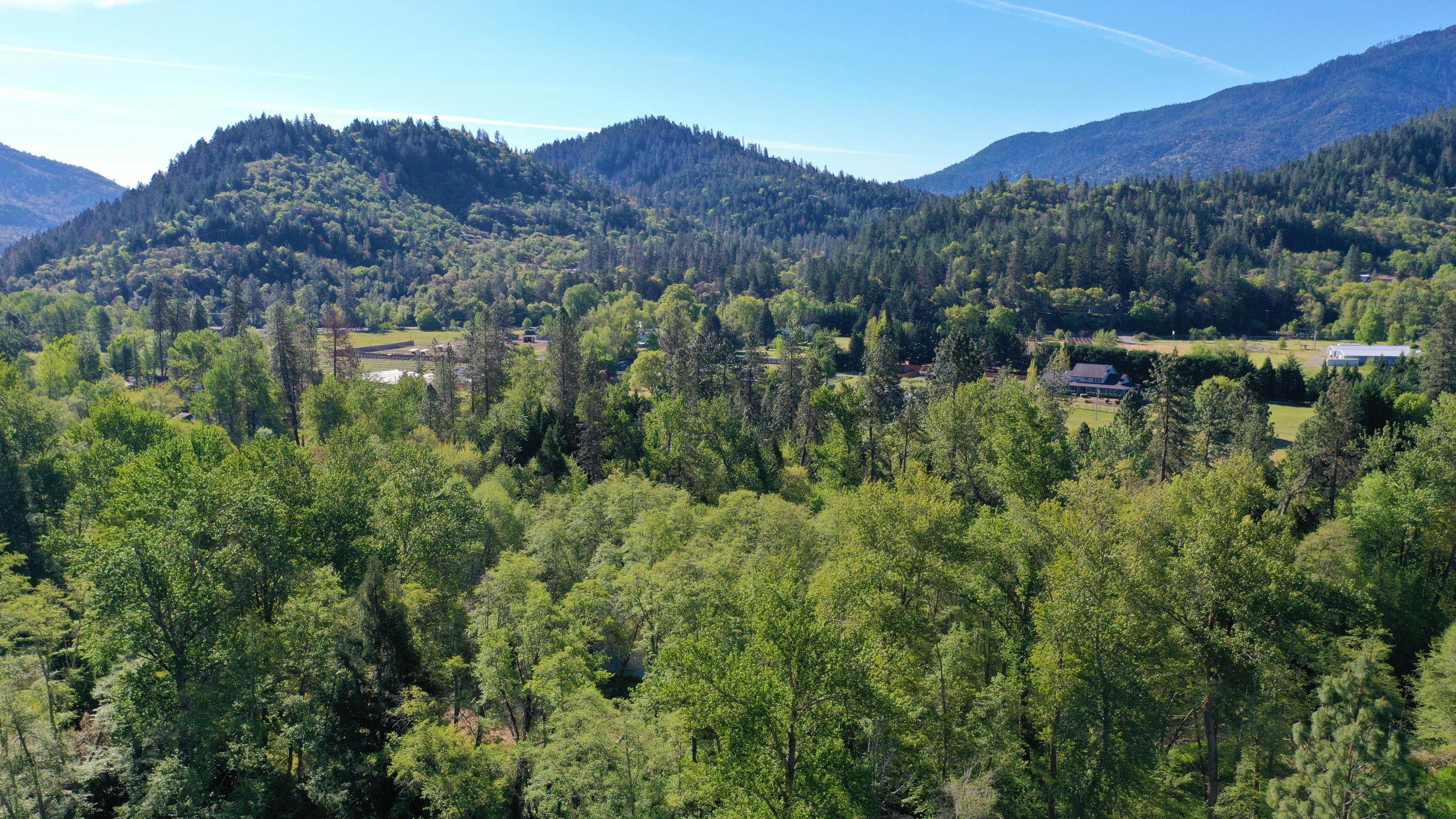 7000 North Applegate Road Grants Pass, OR 97527 - Photo 3 of 17 a view of a forest with mountains in the background