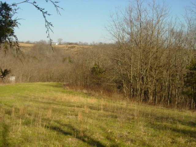 1339 Chaney Road Brooksville, KY 41004 - Photo 11 of 18 Gallery Image 11