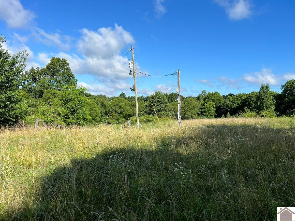 0 John Road, Unit STEELE Robards, KY 42452 - Photo 2 of 7 Photo 2