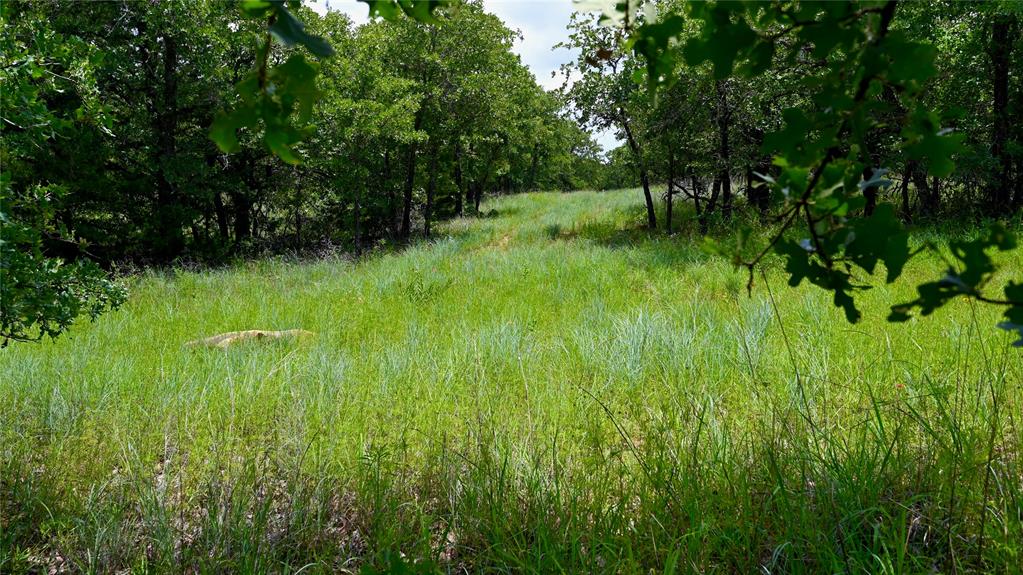 169 Post Oak Cove Sunset, TX 76270 - Photo 4 of 12 a view of a garden