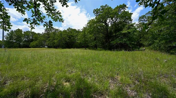 a view of a green field with trees in the background