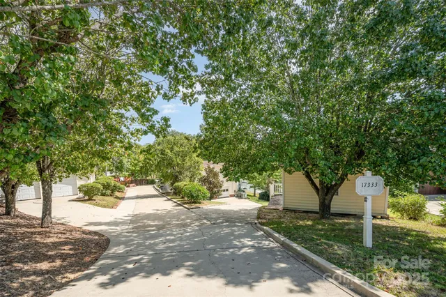 a view of a yard with plants and trees