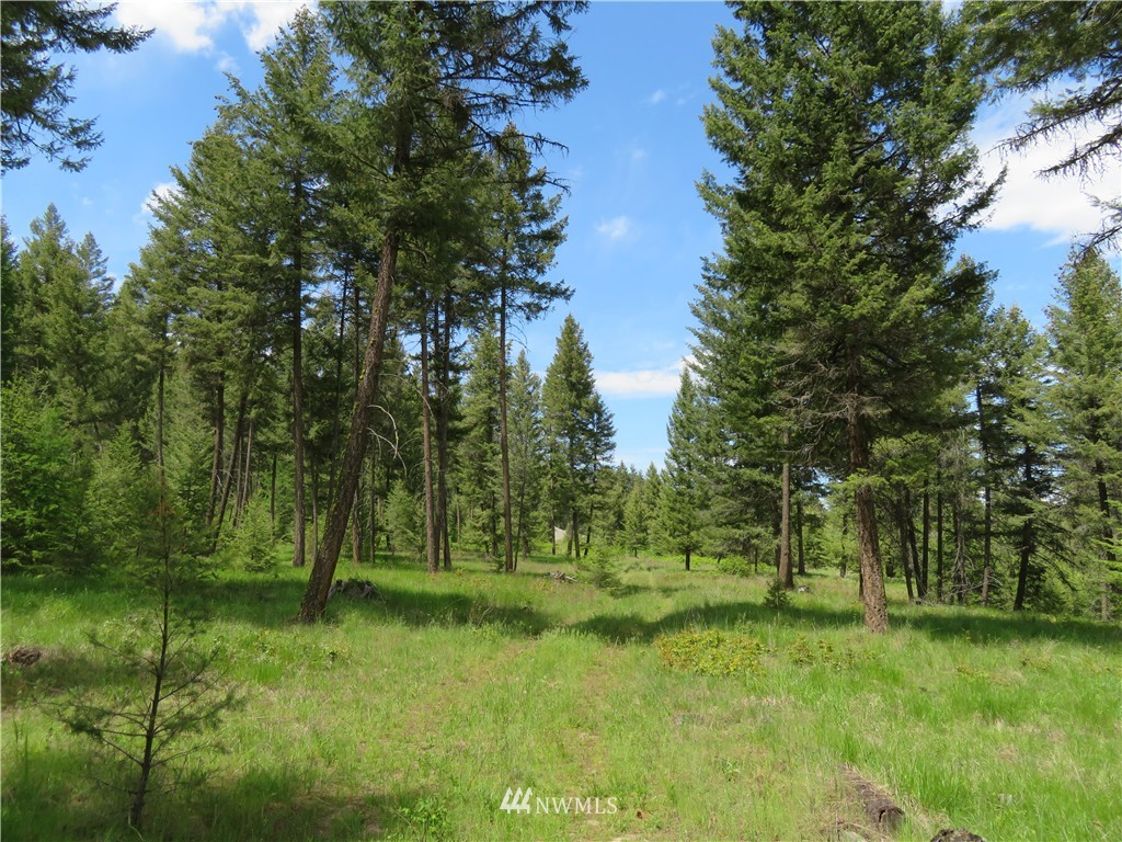 -tbd Kettle River Road Curlew, WA 99118 - Photo 1 of 15 Gallery Image 1