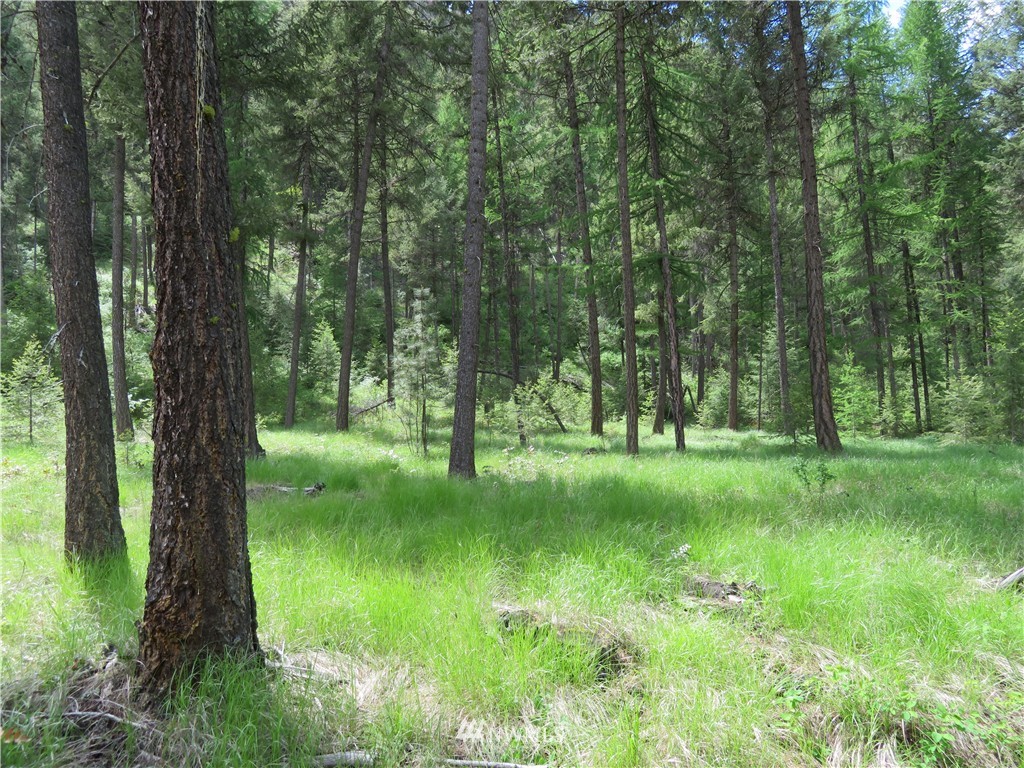 -tbd Kettle River Road Curlew, WA 99118 - Photo 2 of 15 Gallery Image 2