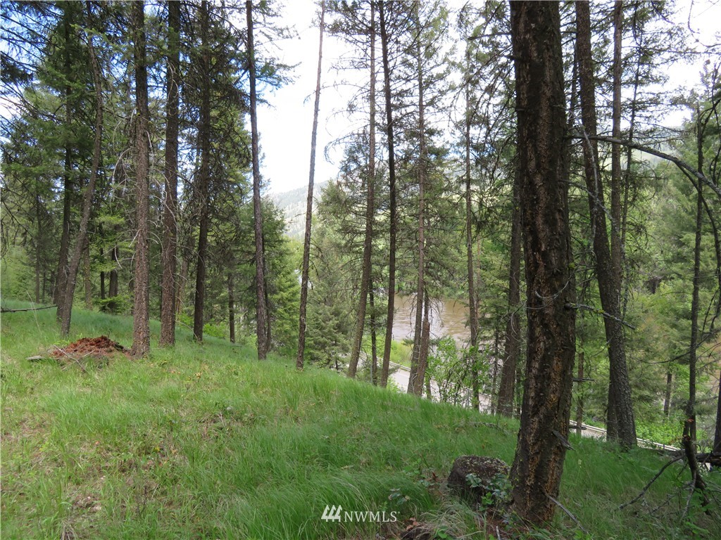 -tbd Kettle River Road Curlew, WA 99118 - Photo 11 of 15 Gallery Image 11