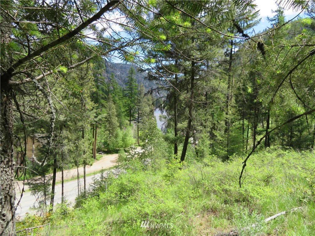 -tbd Kettle River Road Curlew, WA 99118 - Photo 12 of 15 Gallery Image 12