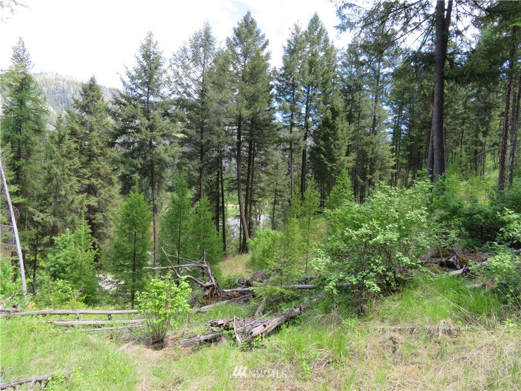 -tbd Kettle River Road Curlew, WA 99118 - Photo 13 of 15 Gallery Image 13