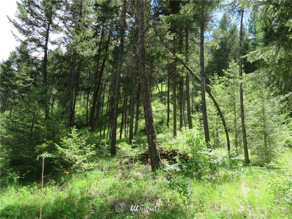 -tbd Kettle River Road Curlew, WA 99118 - Photo 14 of 15 Gallery Image 14