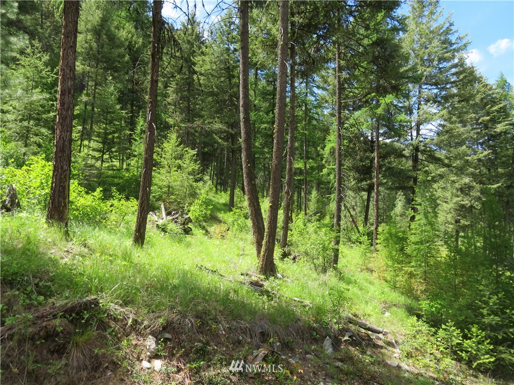 -tbd Kettle River Road Curlew, WA 99118 - Photo 15 of 15 Gallery Image 15