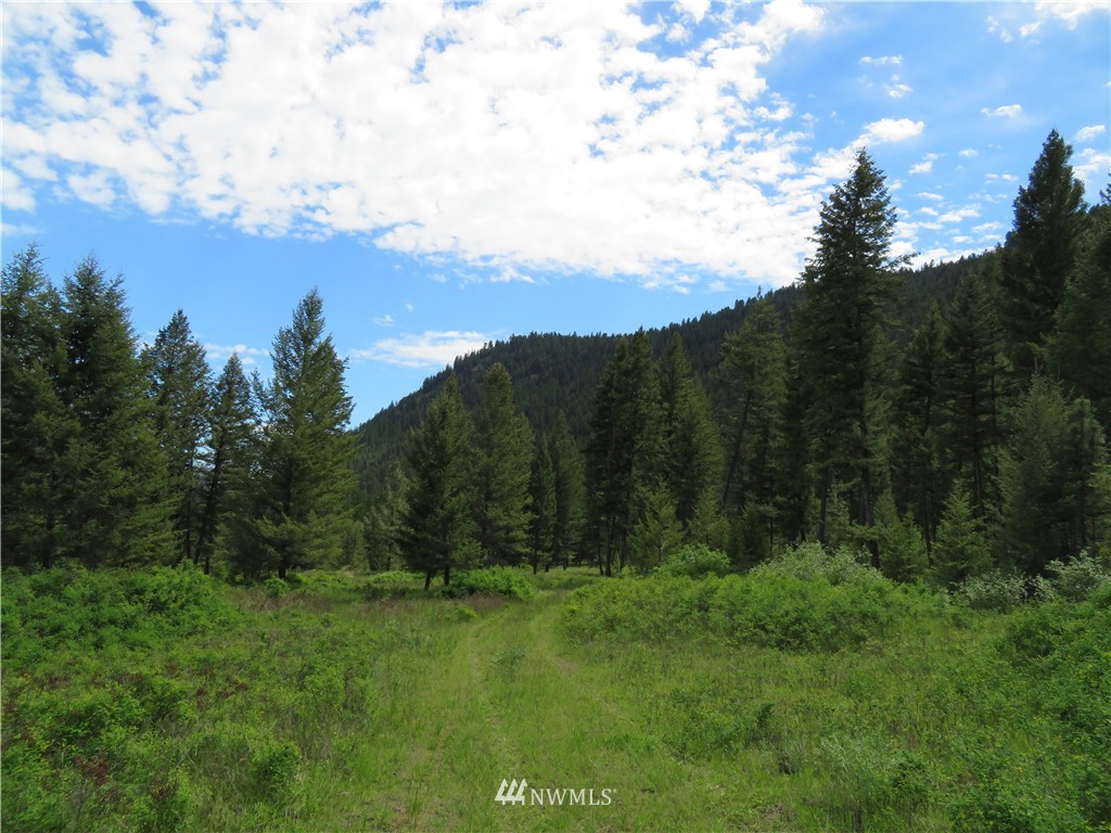 -tbd Kettle River Road Curlew, WA 99118 - Photo 3 of 15 Gallery Image 3