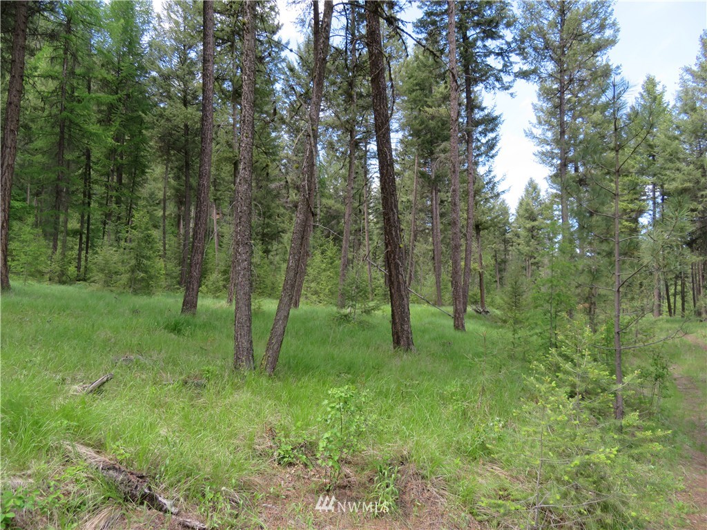 -tbd Kettle River Road Curlew, WA 99118 - Photo 4 of 15 Gallery Image 4