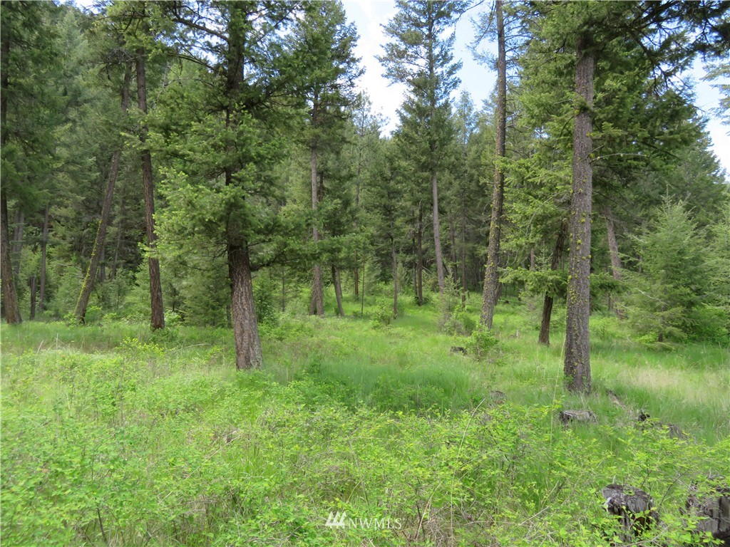 -tbd Kettle River Road Curlew, WA 99118 - Photo 5 of 15 Gallery Image 5