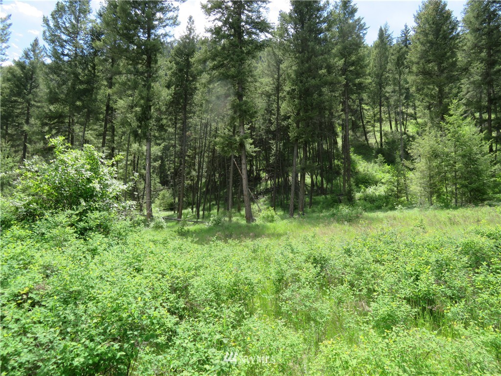 -tbd Kettle River Road Curlew, WA 99118 - Photo 6 of 15 Gallery Image 6