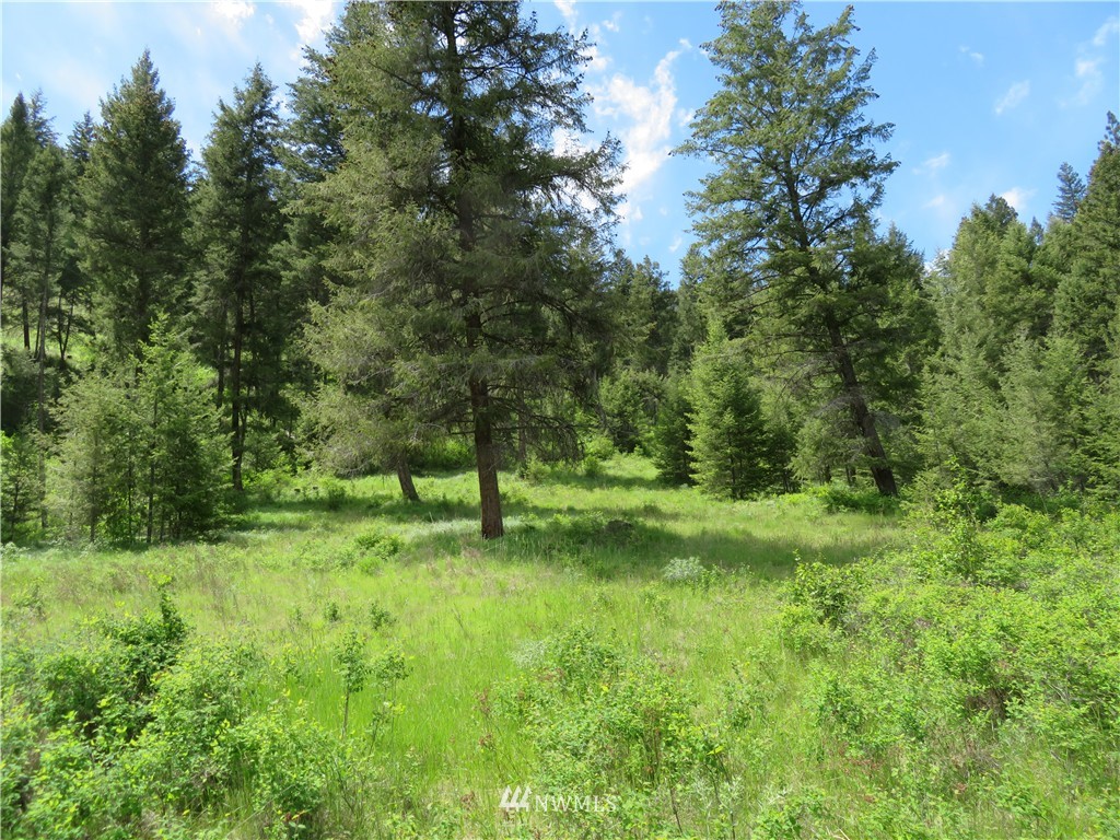 -tbd Kettle River Road Curlew, WA 99118 - Photo 7 of 15 Gallery Image 7