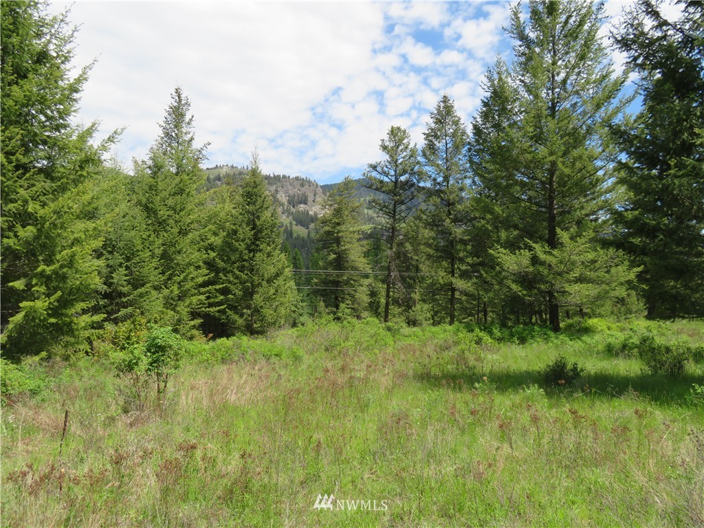 -tbd Kettle River Road Curlew, WA 99118 - Photo 8 of 15 Gallery Image 8