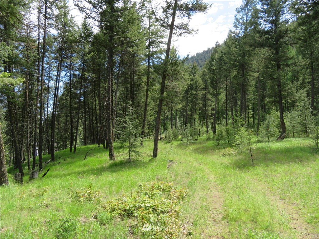 -tbd Kettle River Road Curlew, WA 99118 - Photo 9 of 15 Gallery Image 9