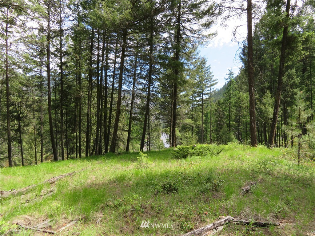 -tbd Kettle River Road Curlew, WA 99118 - Photo 10 of 15 Gallery Image 10