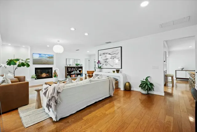 a living room with furniture potted plant and windows