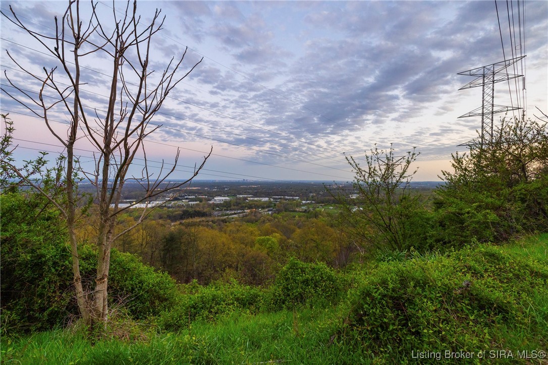 116 Lee Drive Floyds Knobs, IN 47119 - Photo 3 of 40