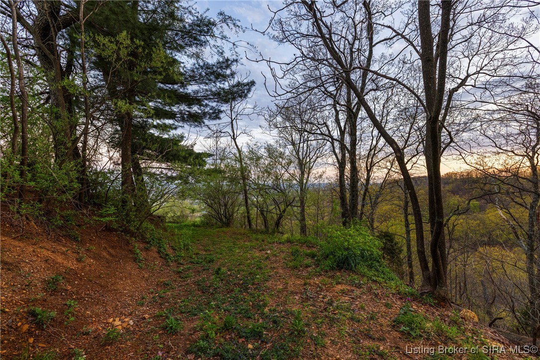 116 Lee Drive Floyds Knobs, IN 47119 - Photo 8 of 40