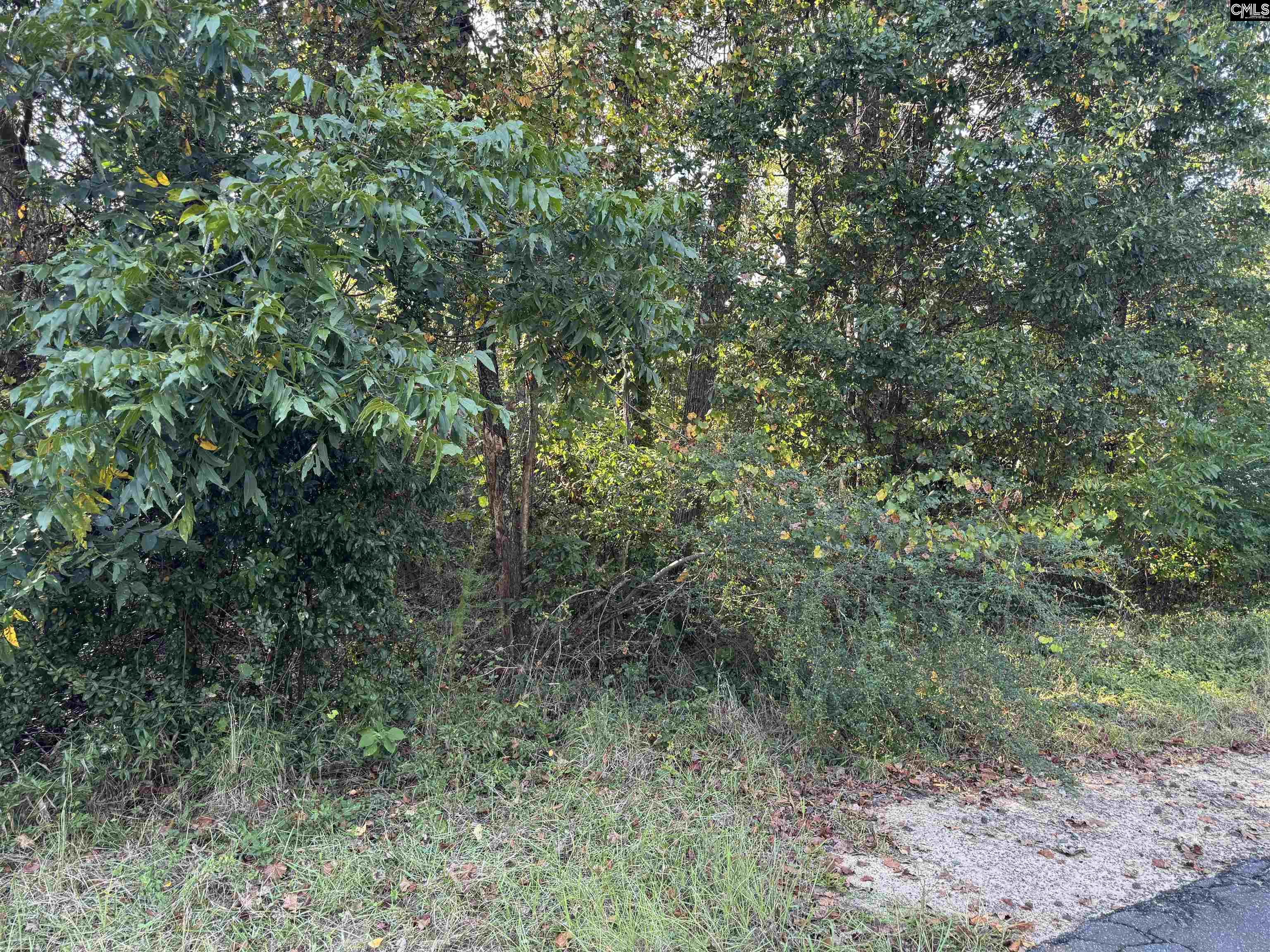 0 Quattlebaum Avenue Ridge Spring, SC 29129 - Photo 3 of 9