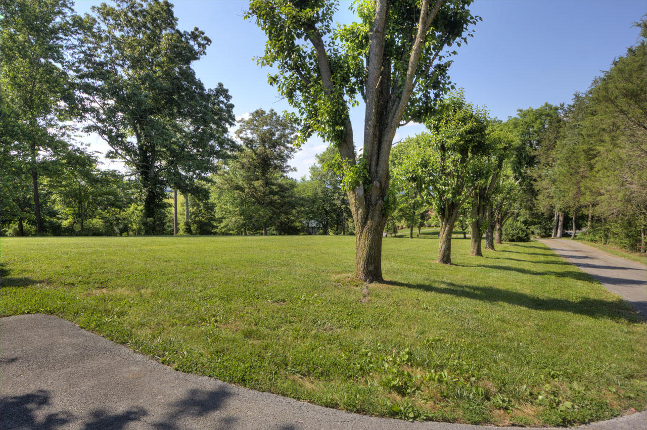 8126 Robert Watkins Road Talbott, TN 37877 - Photo 34 of 36 IMG_8917
