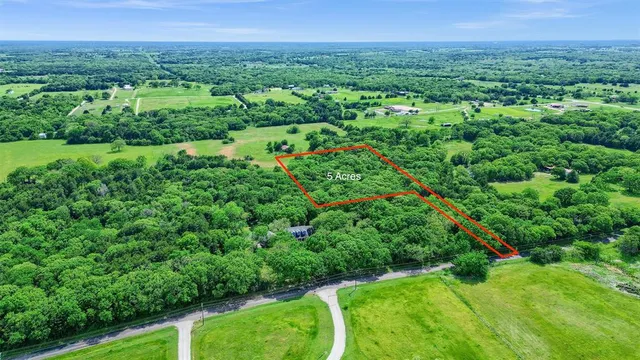 a view of a green field with lots of bushes