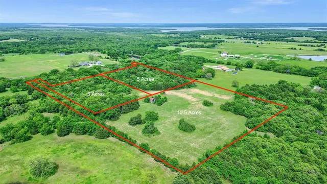 a view of a garden with an outdoor space