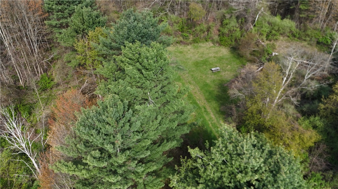 9155 Smith Road Lindley, NY 14870 - Photo 21 of 33