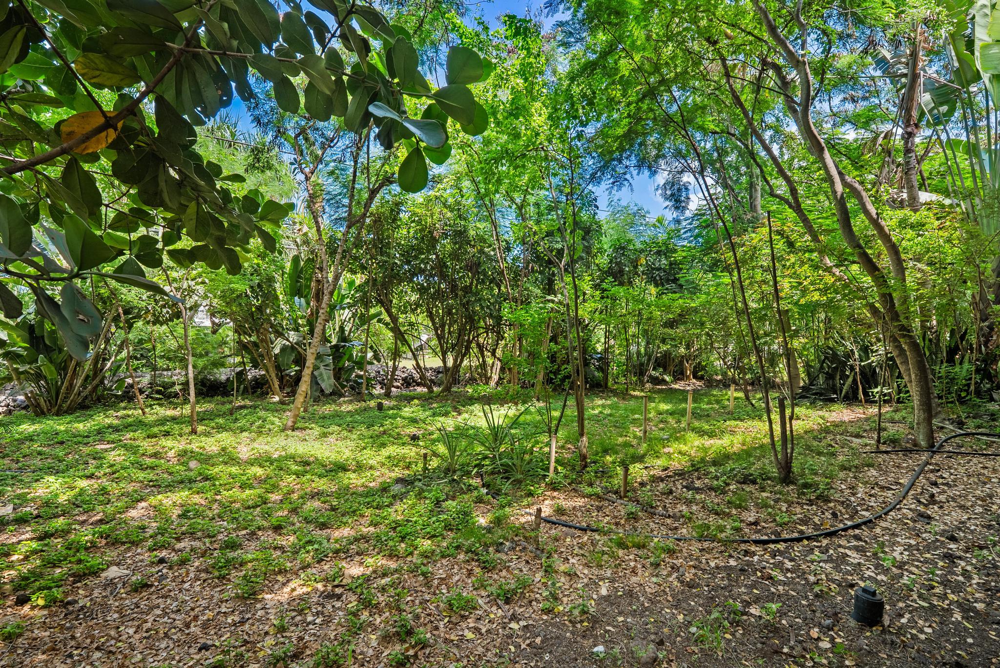 82-6284 Puuhonua Road Captain Cook, HI 96704 - Photo 23 of 27 Gallery Image 23
