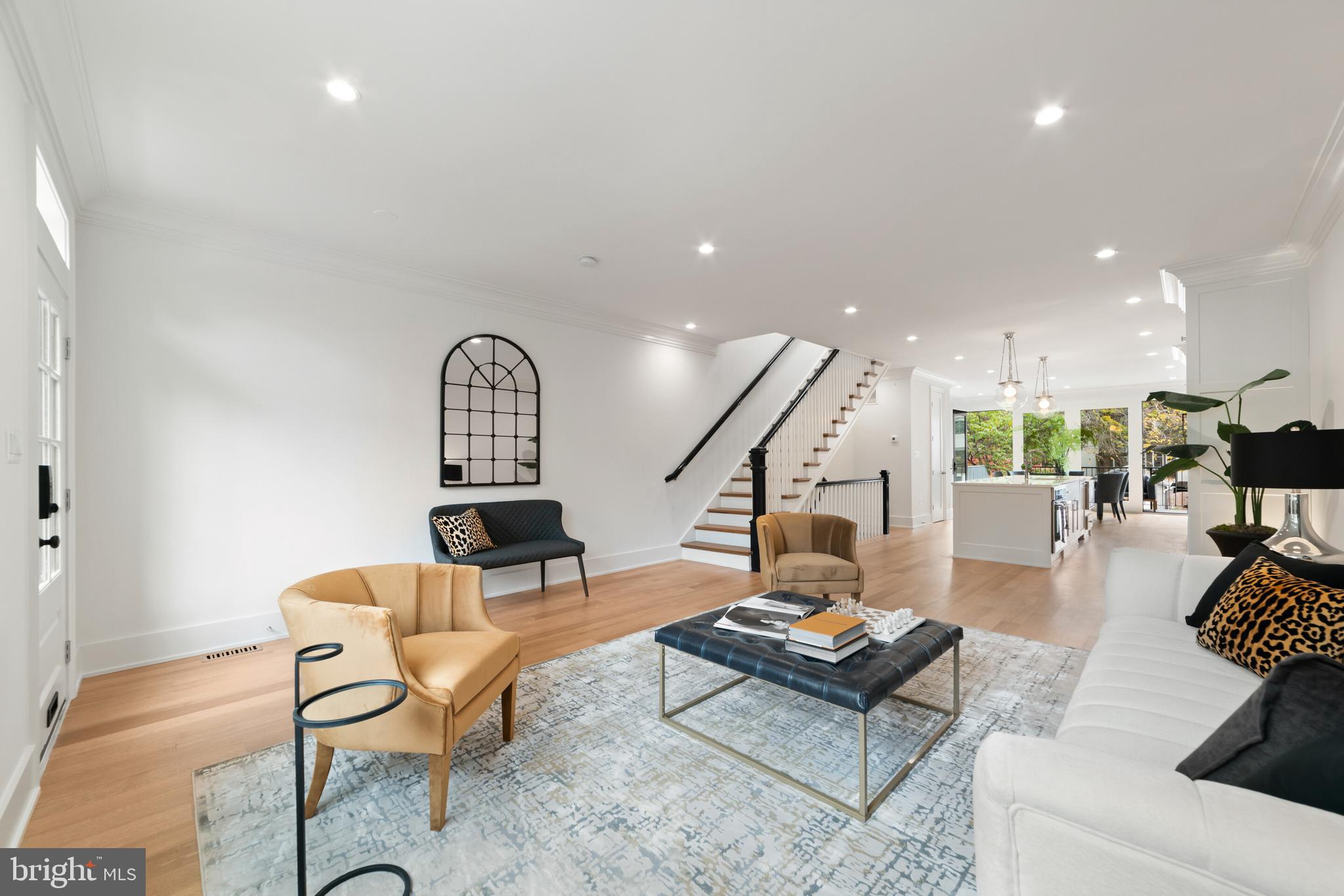 240 10th Street Southeast Washington, DC 20003 - Photo 6 of 47 Expansive 18'X50' main level