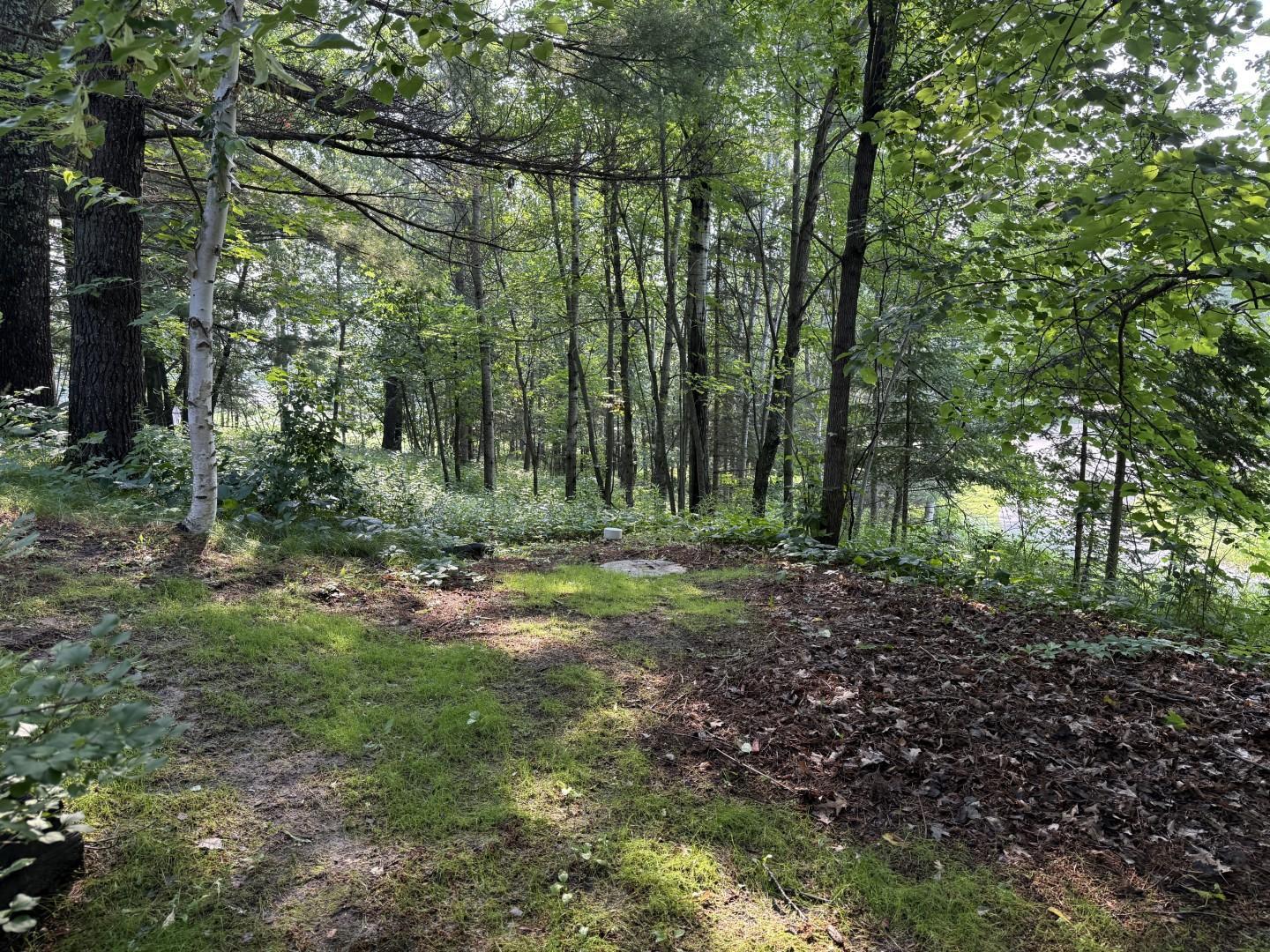 7821 County 12 Northwest Akeley, MN 56433 - Photo 52 of 56