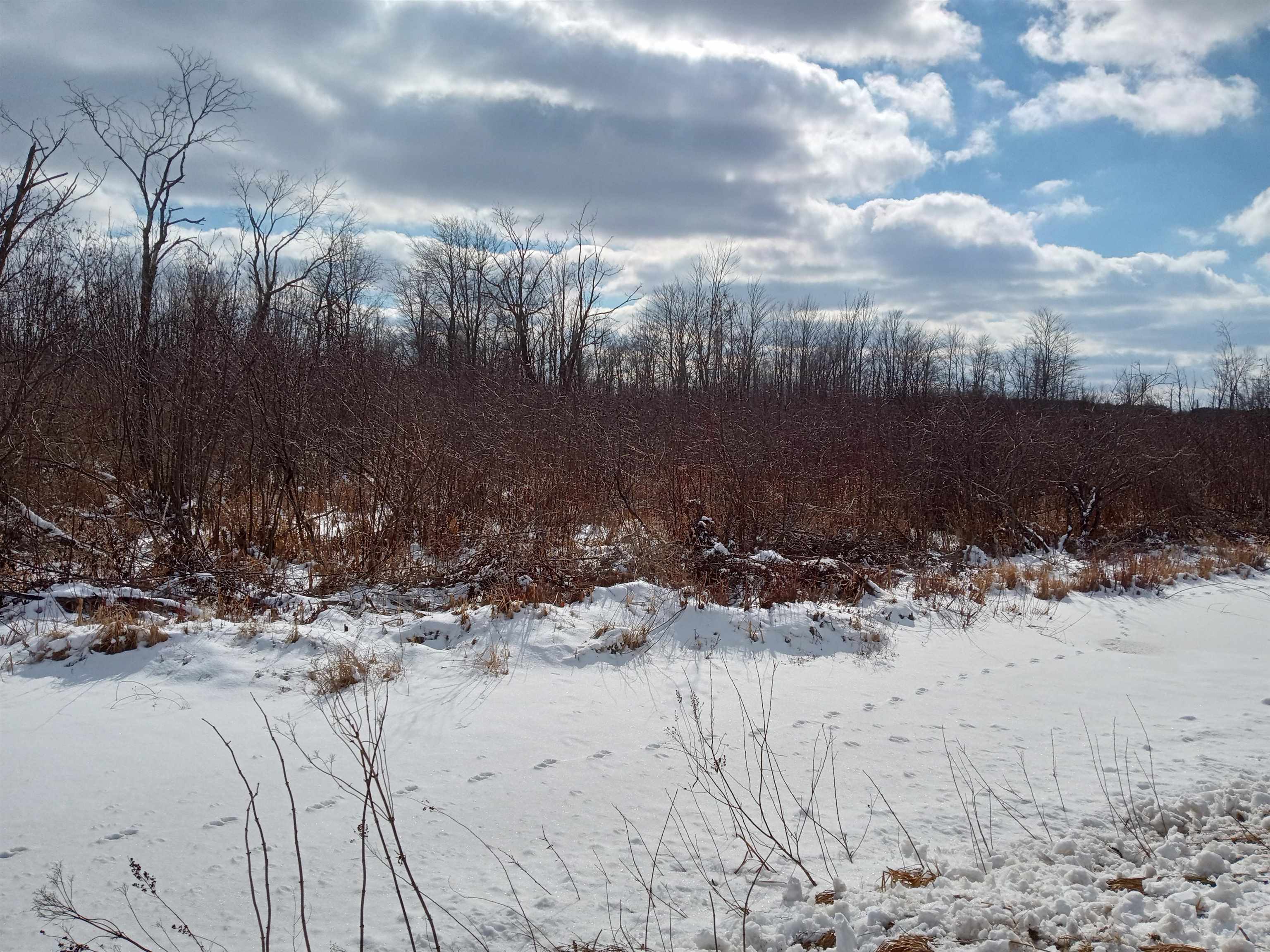 Tbd Roosevelt Road Remus, MI 49340 - Photo 15 of 27 1897397-14.JPG