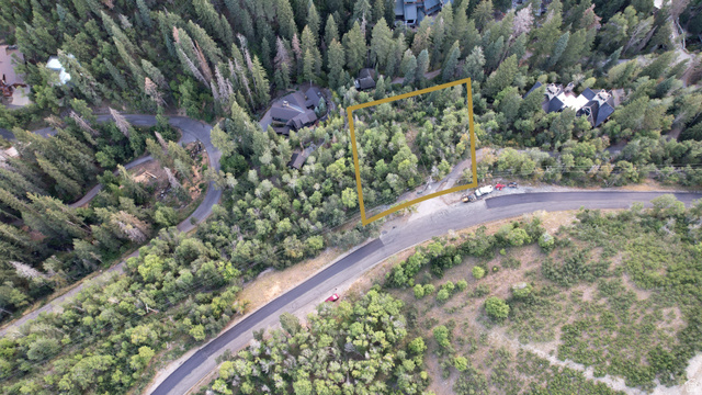 3 Sundance Rec Resort, Unit 3 Provo, UT 84604 - Photo 21 of 30 Wooded lot with established trees and a paved road frontage