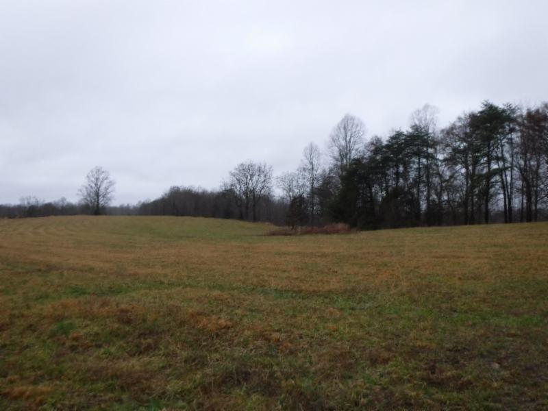 Lot 2 Arrowhead Road Moss, TN 38575 - Photo 1 of 12 DSCF0261