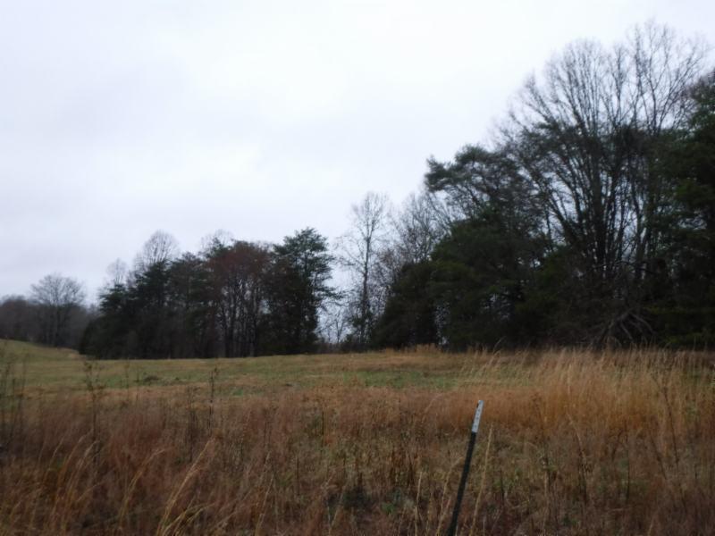 Lot 2 Arrowhead Road Moss, TN 38575 - Photo 3 of 12 DSCF0255