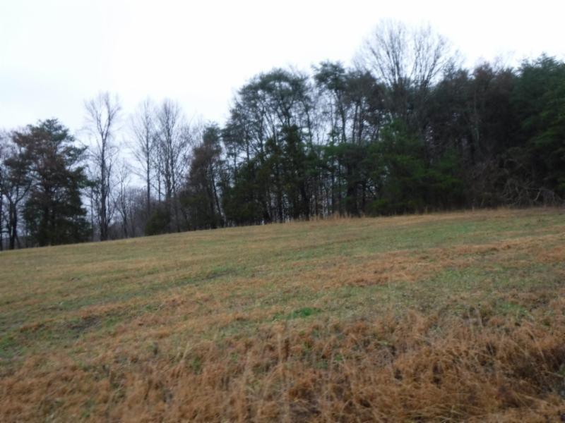 Lot 2 Arrowhead Road Moss, TN 38575 - Photo 4 of 12 DSCF0257