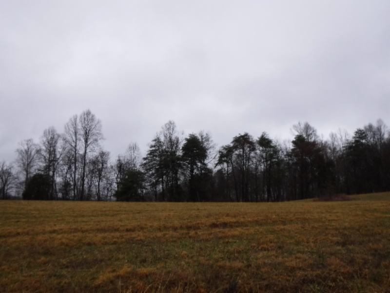 Lot 2 Arrowhead Road Moss, TN 38575 - Photo 8 of 12 DSCF0263
