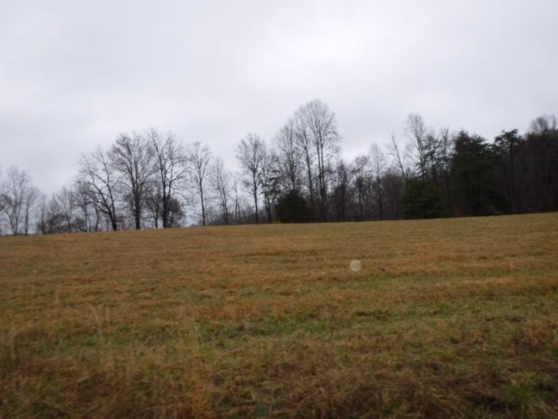 Lot 2 Arrowhead Road Moss, TN 38575 - Photo 9 of 12 DSCF0266