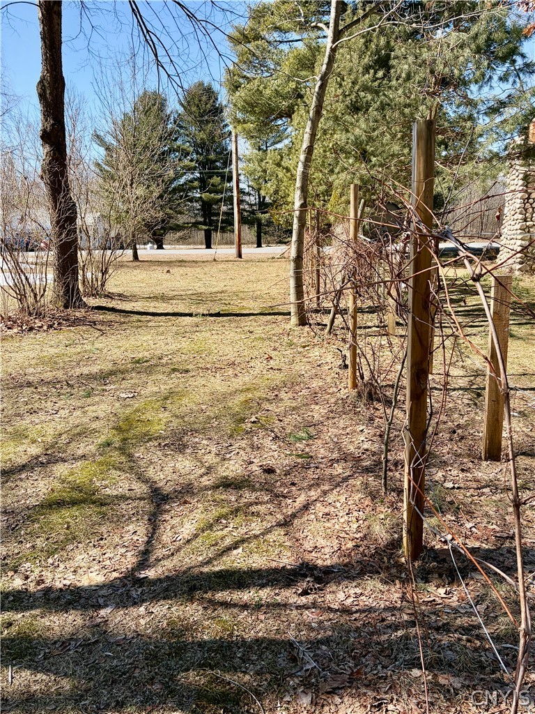 6550 River Road Watson, NY 13367 - Photo 46 of 48 Grapevines line one side boundary!