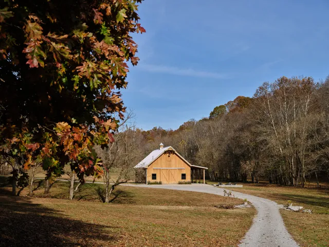 a kitchen with a sink cabinets and window