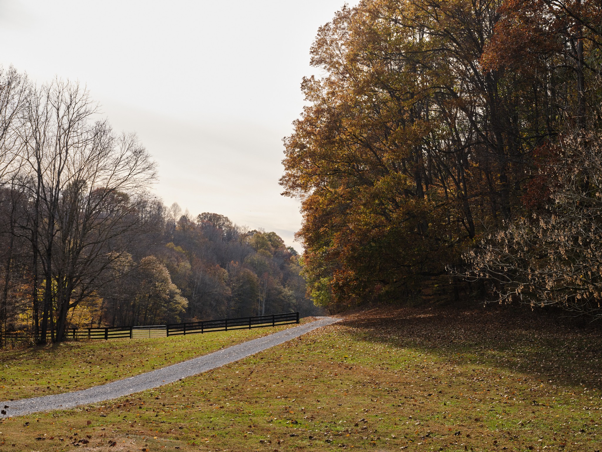 6677 Leipers Creek Road Columbia, TN 38401 - Photo 25 of 88