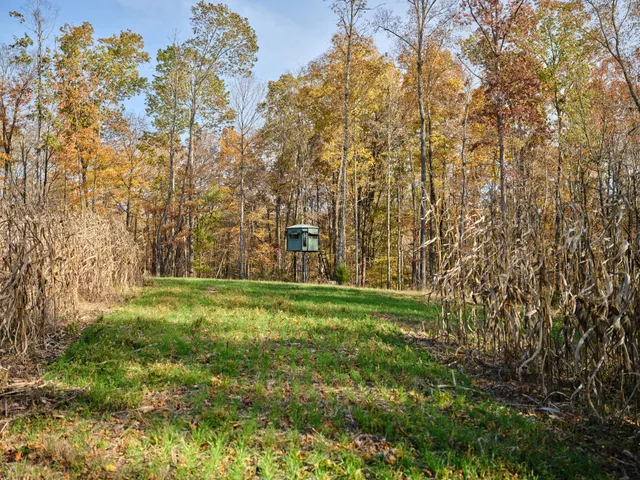 $19,990,000 | 6677 Leipers Creek Road, Columbia, TN 38401