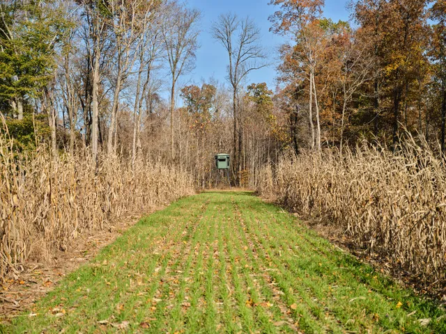 $19,990,000 | 6677 Leipers Creek Road, Columbia, TN 38401