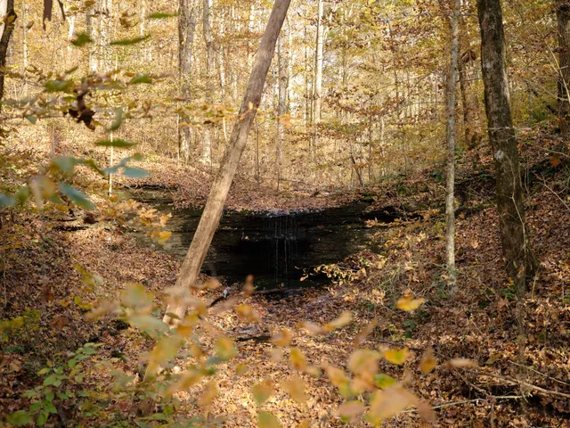 $19,990,000 | 6677 Leipers Creek Road, Columbia, TN 38401