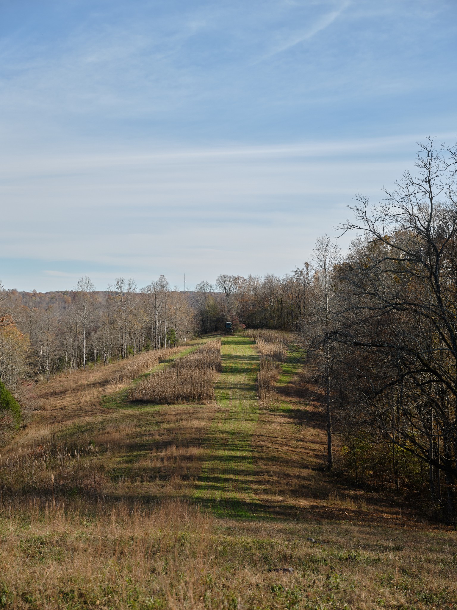 6677 Leipers Creek Road Columbia, TN 38401 - Photo 32 of 88