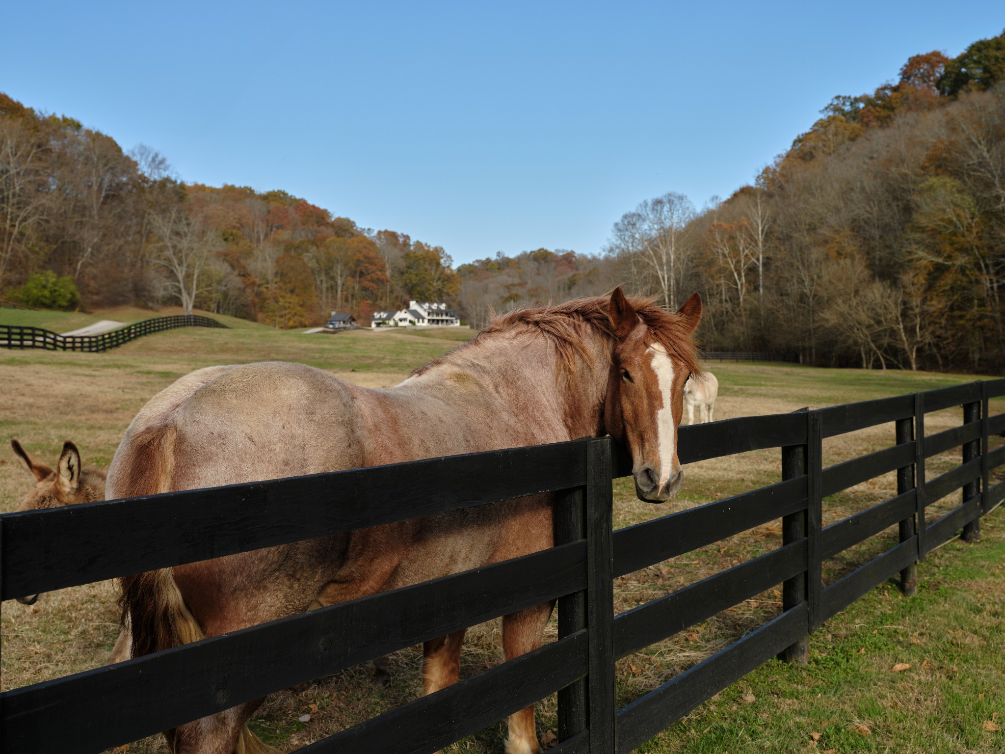 6677 Leipers Creek Road Columbia, TN 38401 - Photo 38 of 88