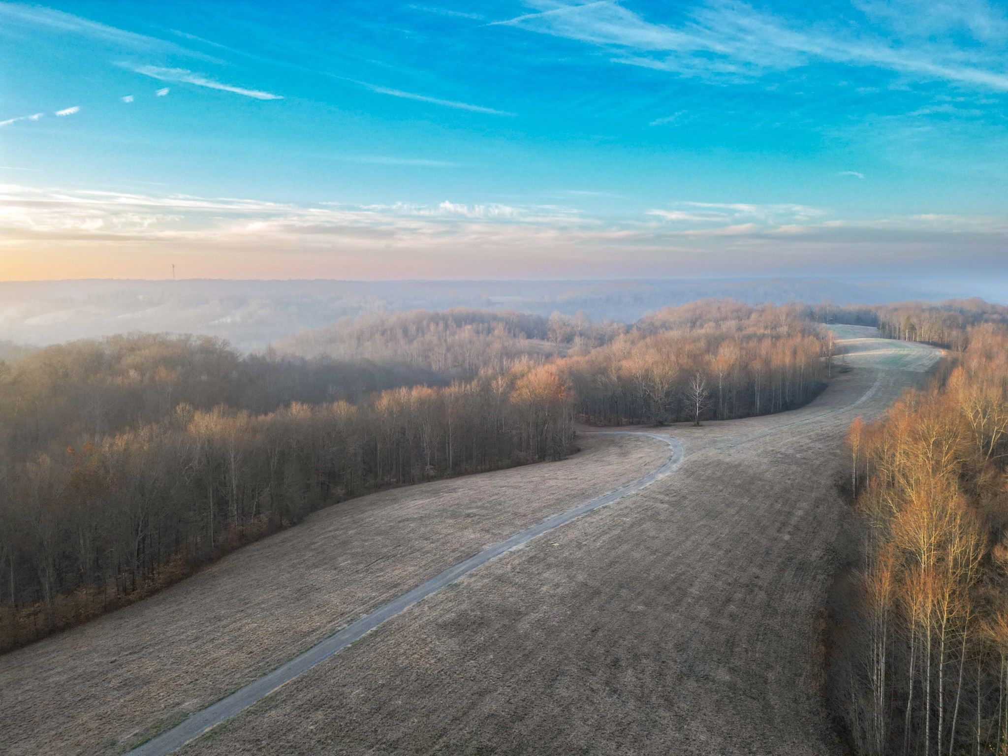 6677 Leipers Creek Road Columbia, TN 38401 - Photo 4 of 88